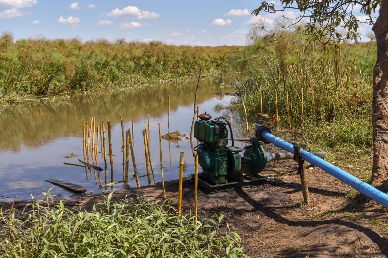 Sani Limited water pump on the Bua River