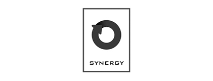 Project4 developed digital solutions for our client Synergy Co-working Space