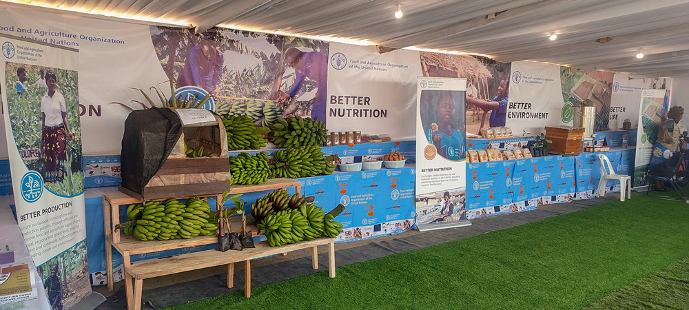 FAO Malawi agriculture fair with banners