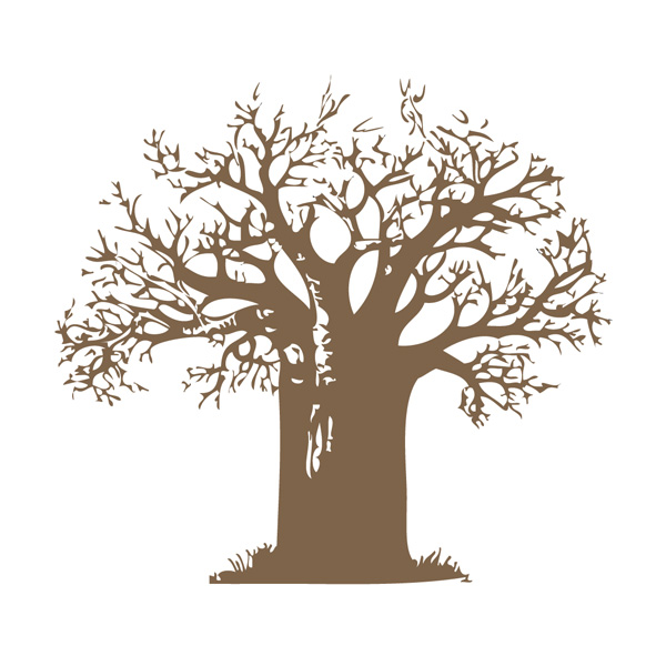 Baobab Health Trust