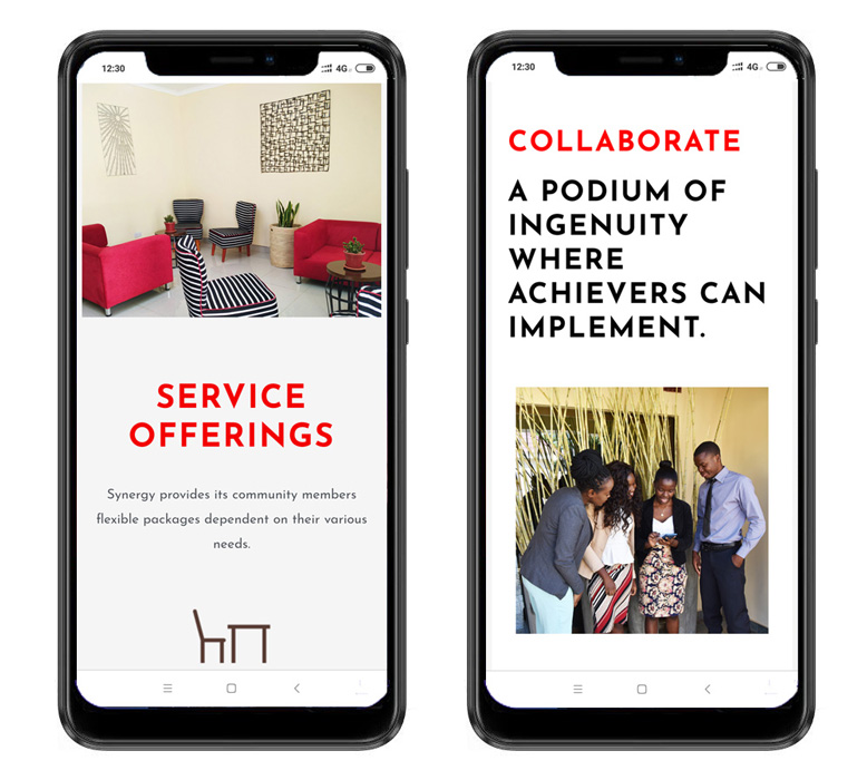 Synergy Malawi