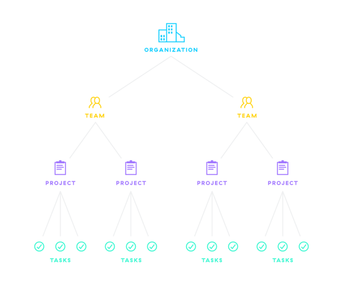 Asana setup