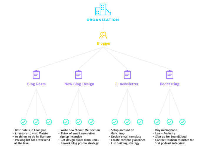 Asana setup