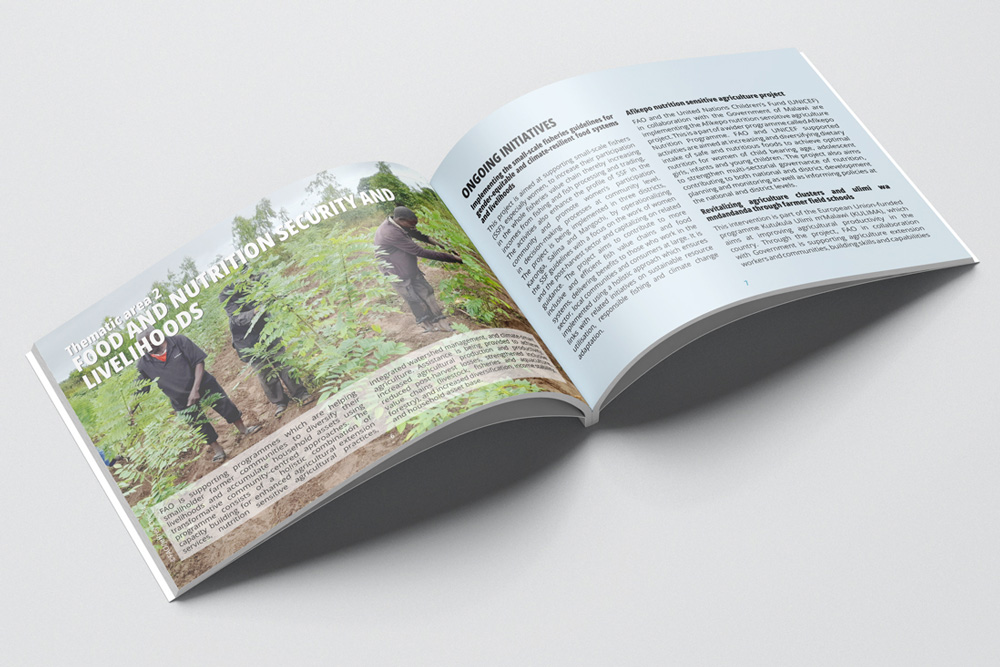 Food and Agriculture Organization Malawi profile inner page
