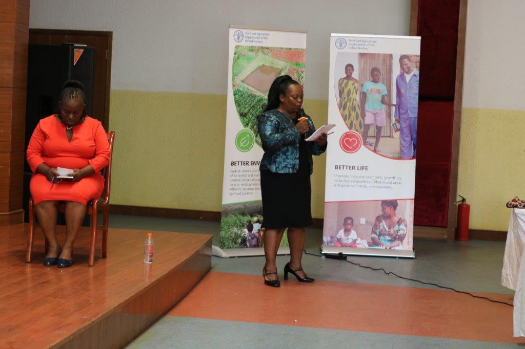 Banners at FAO Malawi workshop
