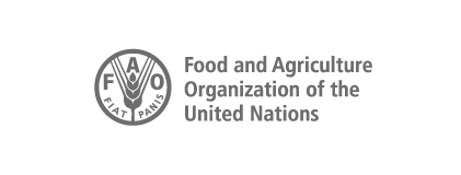 Brand communication solutions for Food and Agriculture Organisation