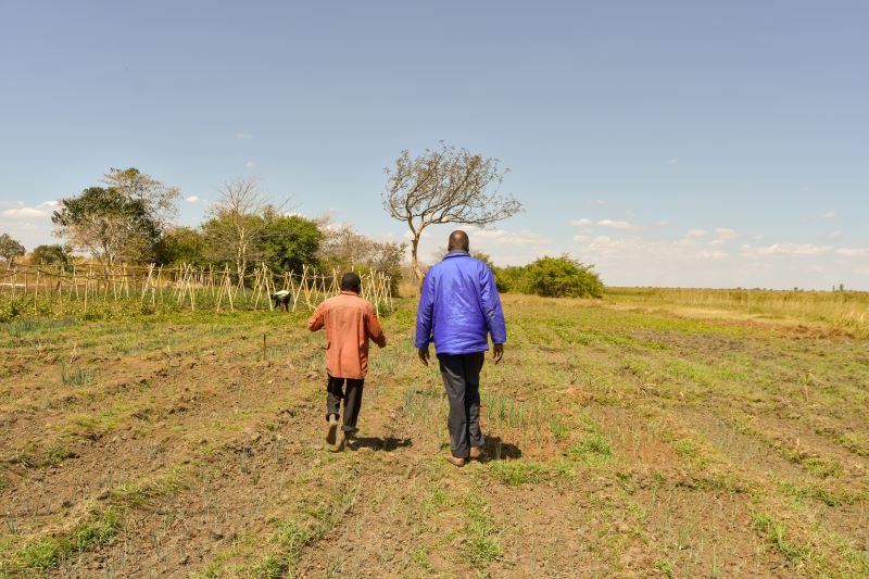 Sani limited vegetable farming